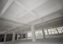 （热门）合肥1380平框架一楼4个大门 4.6米挑高适合轻工电子仓储行业合厂房出租单层